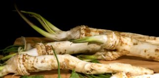 Hrean (Armoracia rusticana) – beneficii şi proprietăţi