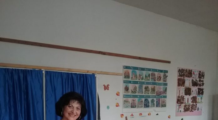 Deputatul Elvira Șarapatin: ,,Am votat pentru ca fiecare român să trăiască bine în țara sa”