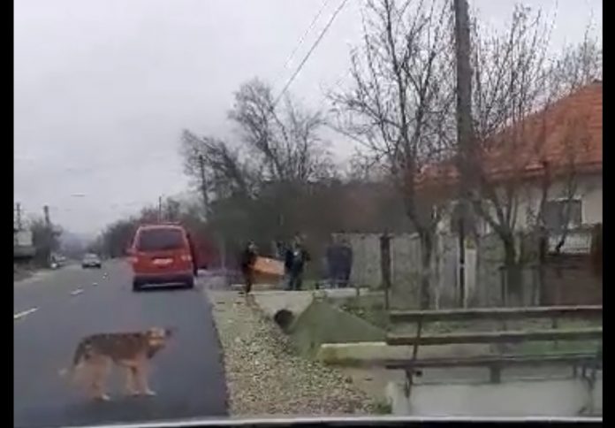 Screenshot_2019-11-24-14-31-20-622