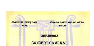 Un nou concert al Orchestrei de Cameră Lyra Gorjului