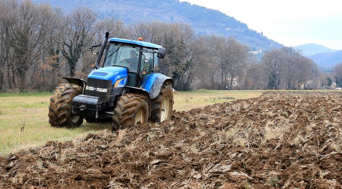 Iarnă deosebită – grijă deosebită pentru lucrări agricole în repausul vegetativ