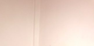 Spectacol caritabil pentru un copil bolnav, la Târgu-Jiu