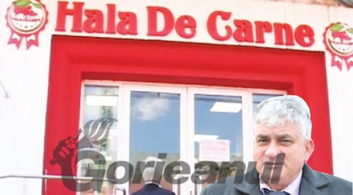 BOMBĂ! Sute de kilograme de carne infestată cu pestă porcină, comercializate în Hala de carne din Târgu-Jiu. Direcția Sanitar Veterinară Gorj a mușamalizat totul!