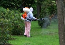 Controale după tragedia de la Timișoara