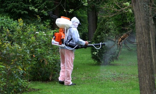 Mâine, acțiune de dezinsecție, la Târgu Jiu