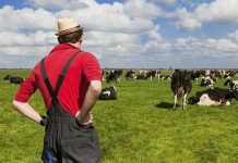 Plăţi în avans de peste 1 miliard de lei pentru fermieri