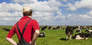 Plăţi în avans de peste 1 miliard de lei pentru fermieri