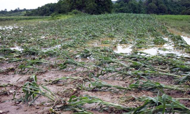 Alertă hidrologică! Cod galben de inundaţii