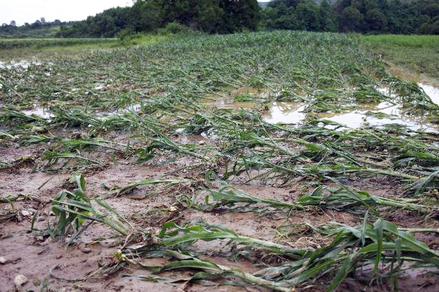 inundatii-terenuri-agricole-