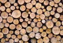 Analiză de piaţă: În Gorj, preţul lemnelor de foc este situat între 200 şi 300 de lei