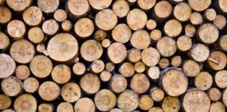 Analiză de piaţă: În Gorj, preţul lemnelor de foc este situat între 200 şi 300 de lei