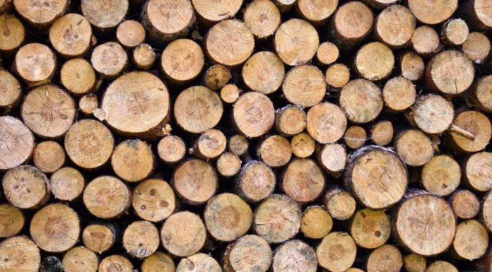 Transport de material lemnos, verificat de polițiști. Descoperirea făcută de oamenii legii