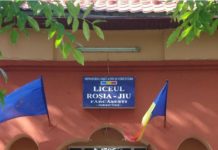 Două posturi vacante, la Liceul Tehnologic Roşia-Jiu Fărcăşeşti