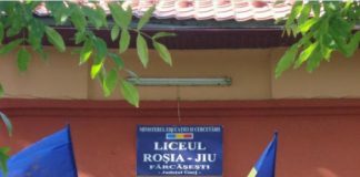 Două posturi vacante, la Liceul Tehnologic Roşia-Jiu Fărcăşeşti