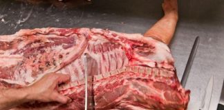 Ordonanţă de interzicere a activităţii pentru o măcelărie