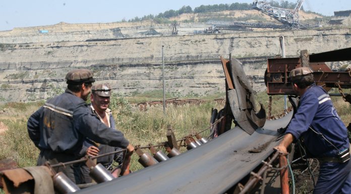 CEO combate accidentele de muncă cu ceai de plante ori fructe de pădure!