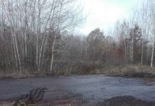 DOVEZI! Firma milionarului Paraschiv s-a angajat să nu cauzeze nicio poluare cu ferma de pui de la Târgu-Jiu. Instituțiile statului, trezite de către presă! Oamenii acuză: Autoritățile locale din Dănești, în complicitate cu cei de la Avirom!