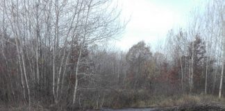 DOVEZI! Firma milionarului Paraschiv s-a angajat să nu cauzeze nicio poluare cu ferma de pui de la Târgu-Jiu. Instituțiile statului, trezite de către presă! Oamenii acuză: Autoritățile locale din Dănești, în complicitate cu cei de la Avirom!