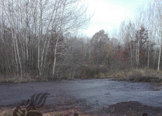 DOVEZI! Firma milionarului Paraschiv s-a angajat să nu cauzeze nicio poluare cu ferma de pui de la Târgu-Jiu. Instituțiile statului, trezite de către presă! Oamenii acuză: Autoritățile locale din Dănești, în complicitate cu cei de la Avirom!