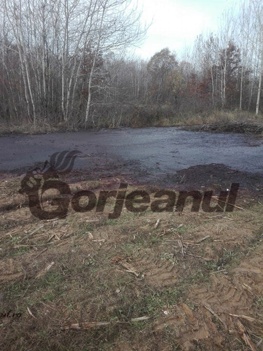 paraschiv deseuri (2)