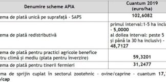 Peste 1 miliard de euro, autorizat la plată de APIA
