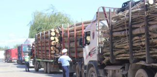 Amendă de 5.000 de lei pentru o firmă din Padeș