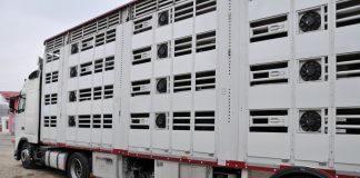 Transportator de animale, sancționat de inspectorii sanitar-veterinari
