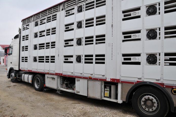 transportator animale