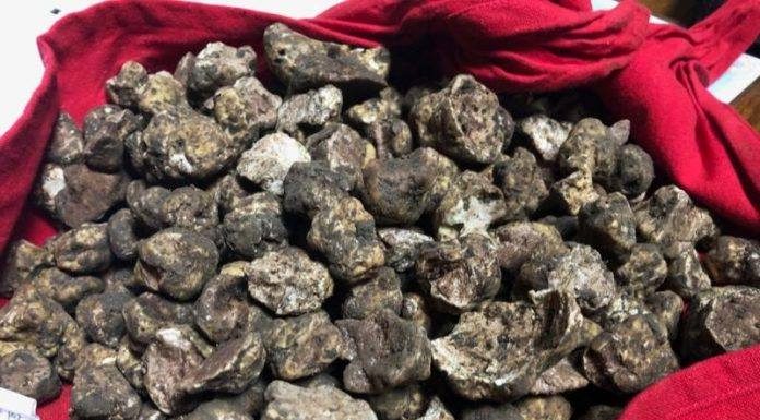 Șofer amendat pentru că transporta trufe fără documente