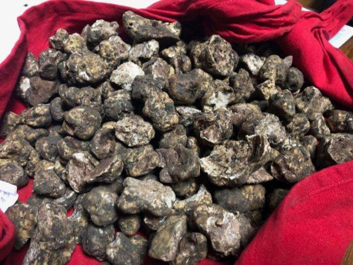 Șofer amendat pentru că transporta trufe fără documente