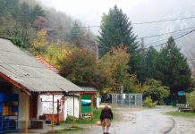 O problemă de sezon – ,,Este mult mai uşor să previi un incendiu decât să-l stingi’’