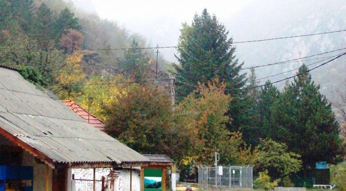 O problemă de sezon – ,,Este mult mai uşor să previi un incendiu decât să-l stingi’’