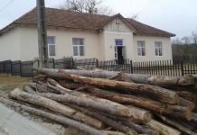 Un elev de la clasa pregătitoare de la Școala Primară Valea din Bolboși, lăsat fără cadoul de final de an de către învățătoare!