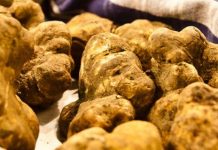 Amendat pentru că recolta ilegal trufe