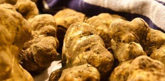 Amendat pentru că recolta ilegal trufe