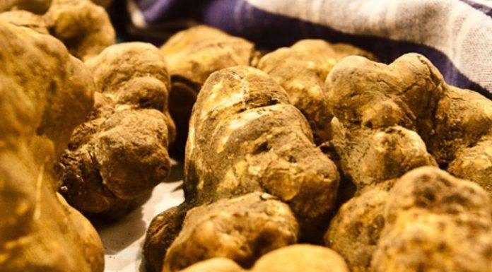 Amendat pentru că recolta ilegal trufe