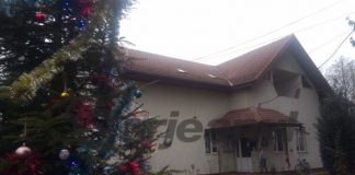 Bilanț pe plus la Obștea Peștișani: An financiar excelent cu prime substanțiale pentru salariați, lemne de foc, indemnizații pentru nou-născuți și pachete pentru copiii coproprietarilor