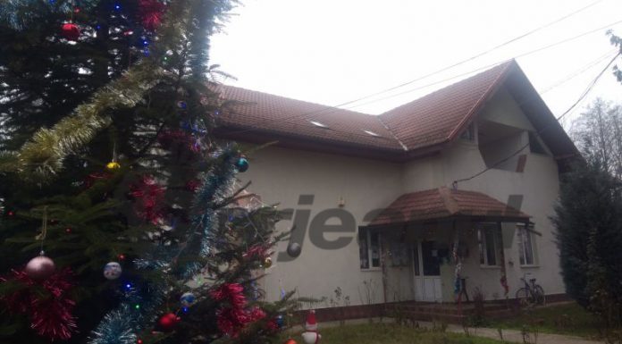 Bilanț pe plus la Obștea Peștișani: An financiar excelent cu prime substanțiale pentru salariați, lemne de foc, indemnizații pentru nou-născuți și pachete pentru copiii coproprietarilor