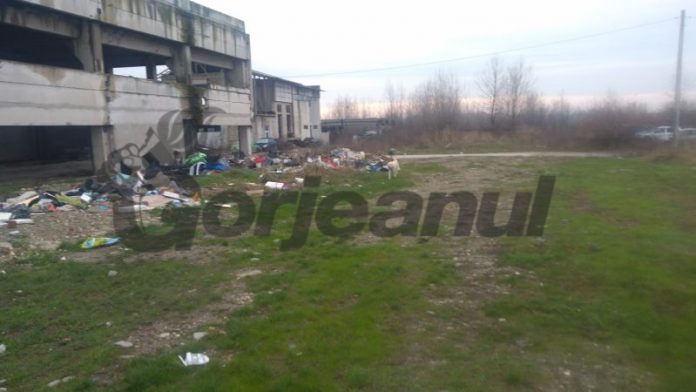 78827364_556340075161635_2292995061224308736_n