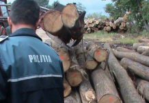 Lemne fără documente, confiscate de polițiști