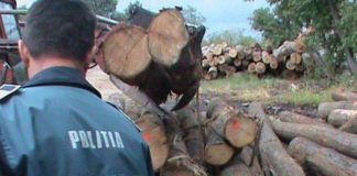 Lemne fără documente, confiscate de polițiști