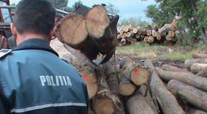 Lemne fără documente, confiscate de polițiști