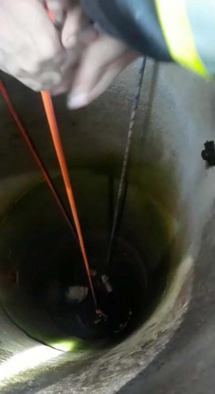 80373451_491501678154052_6348305900821807104_n