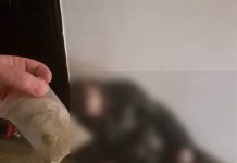 Vezi ce au descoperit polițiștii locali târgujieni!