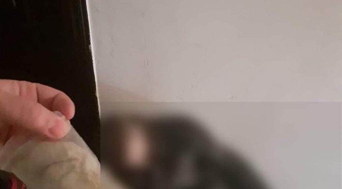 Vezi ce au descoperit polițiștii locali târgujieni!