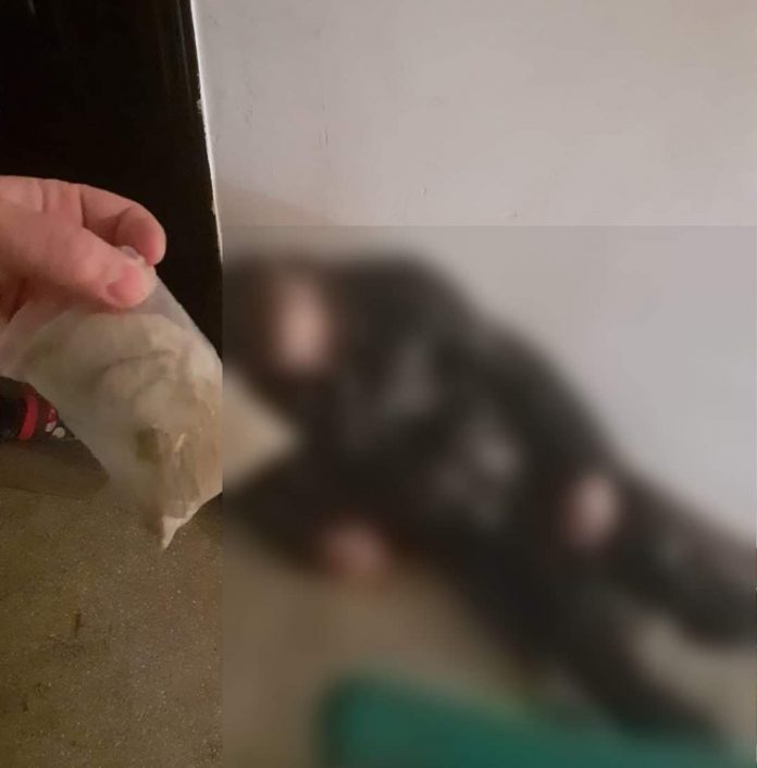 Vezi ce au descoperit polițiștii locali târgujieni!