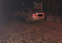 Și-a parcat mașina în mijlocul Parcului Central! A fost ,, premiat” cu amenda maximă