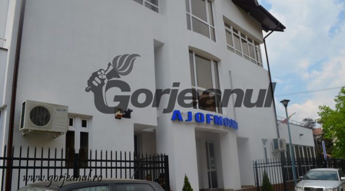 Cursuri profesionale de final de an, demarate de AJOFM Gorj