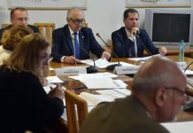 Senatorul Cârciumaru, bilanț la sfârșit de an