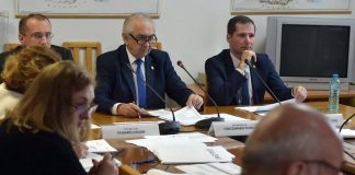 Senatorul Cârciumaru, bilanț la sfârșit de an